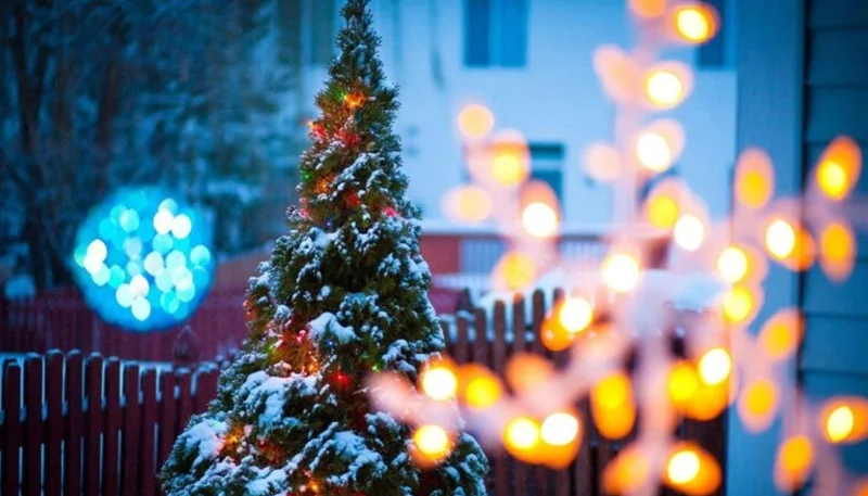 Hình nền giáng sinh cây thông noel cho máy tính (4)