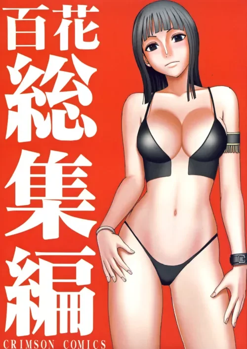 hentai one piece robin, mẫu 3
