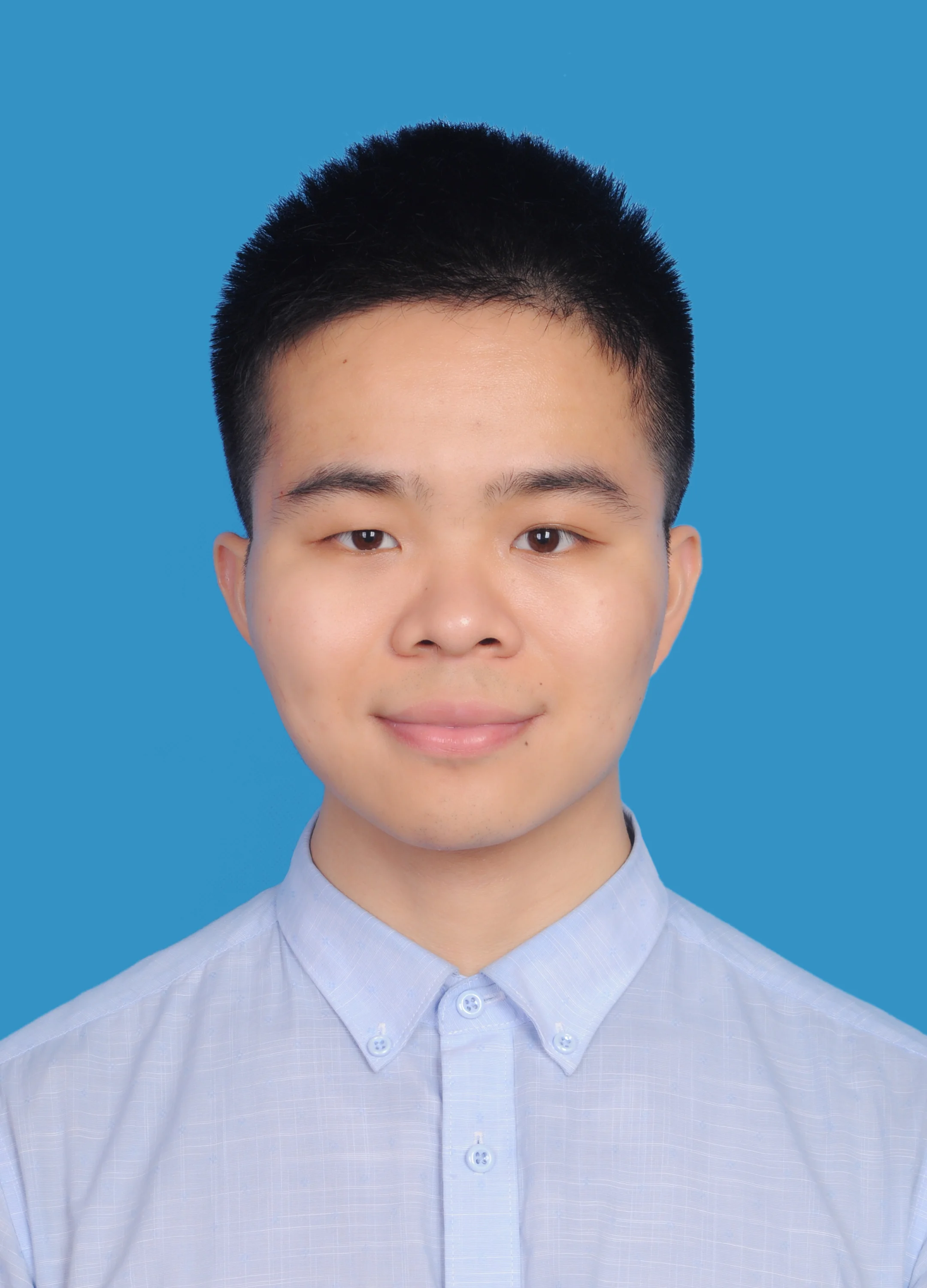 hoa sen vẽ, mẫu 3