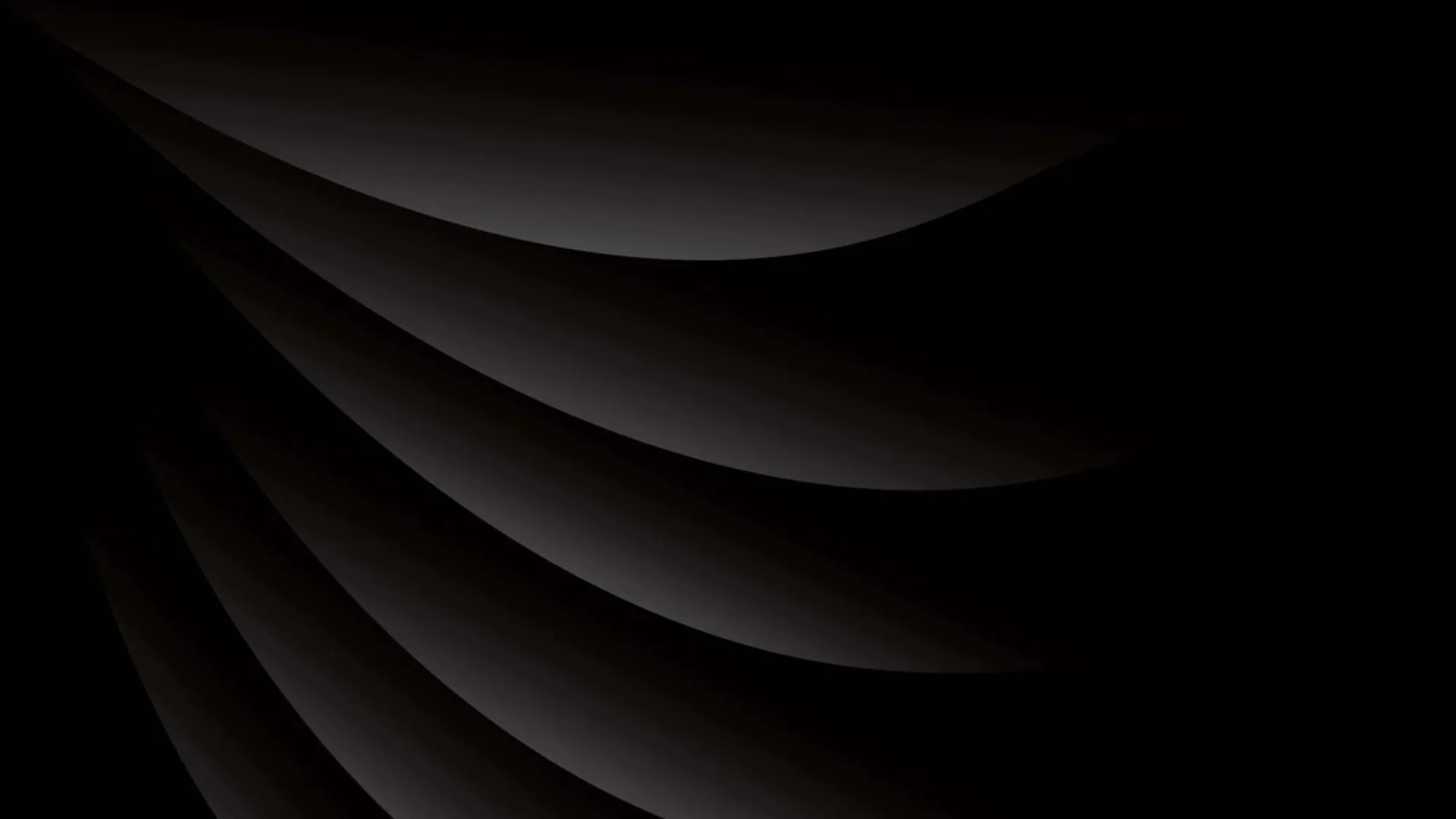 mau background den 11