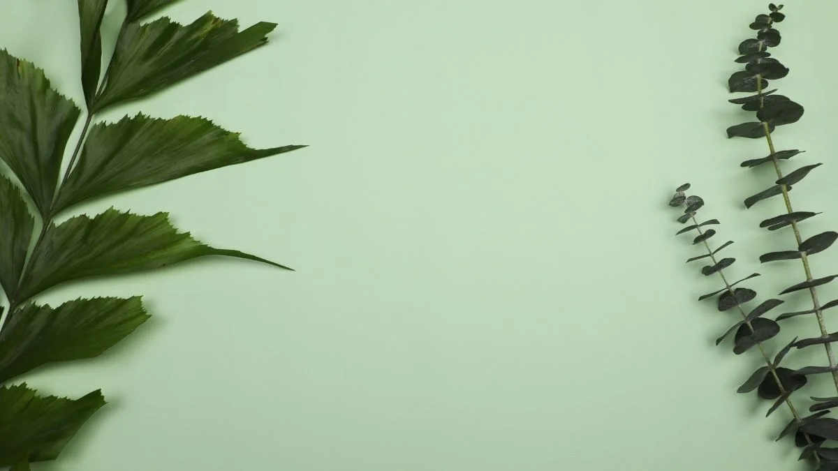Mẫu nền xanh lá thứ 7