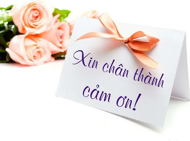 Hình ảnh cảm ơn - Tổng hợp hình ảnh cảm ơn đẹp