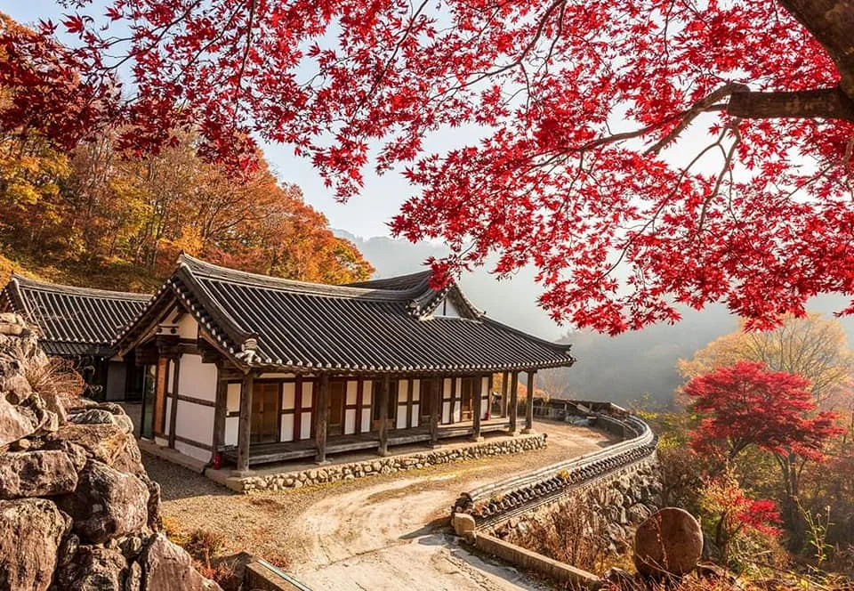 Ảnh đẹp mùa thu Nhật Bản 2019