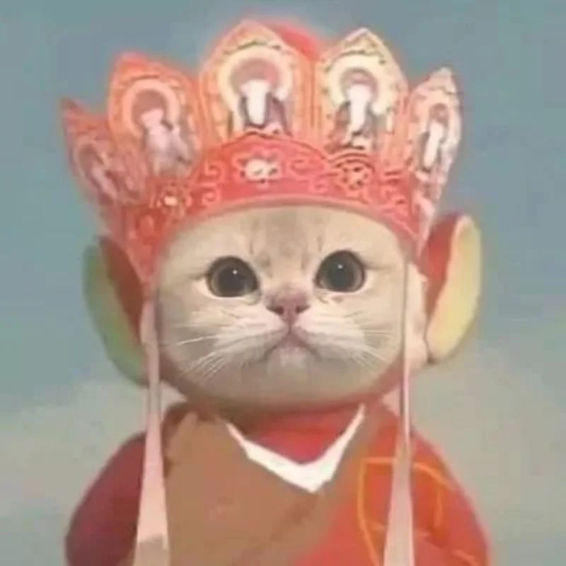 avatar ảnh mèo cute hóa trang thành Tôn Ngộ Không đáng yêu